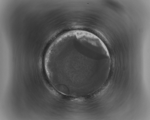 X0000111120447200908111022
