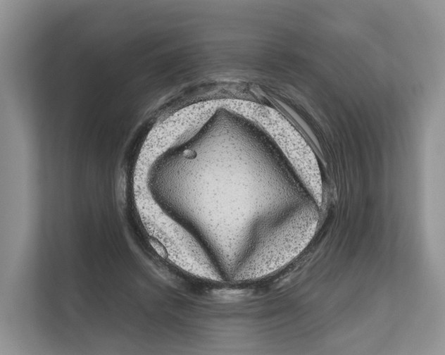 X0000111120448200908111022