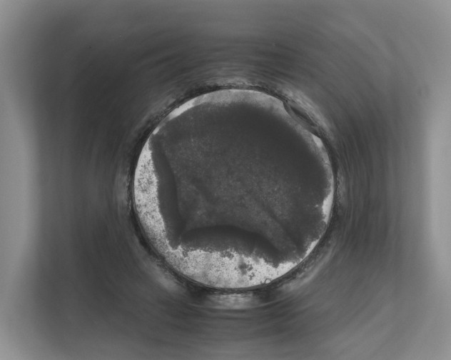 X0000111120449200908111022
