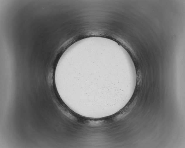 X0000111120450200908111022