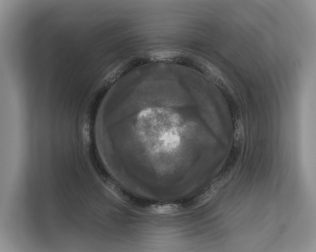 X0000111120452200908111022