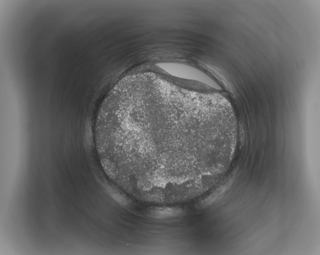 X0000111120453200908111022