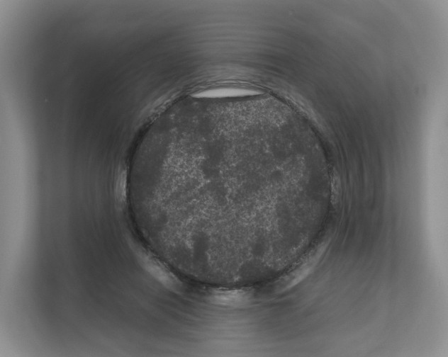 X0000111120454200908111022