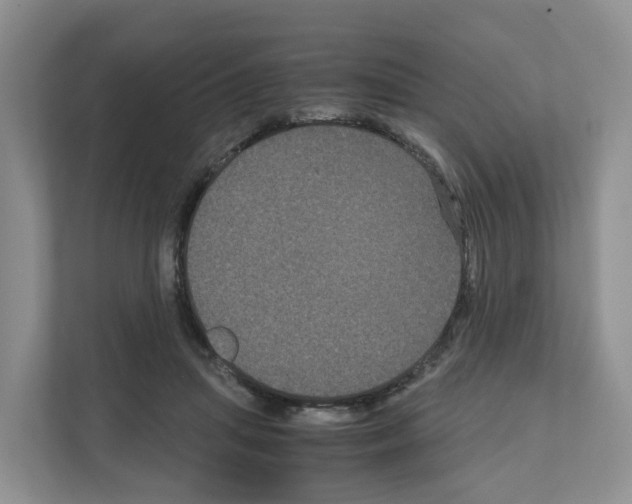 X0000111120455200908111022