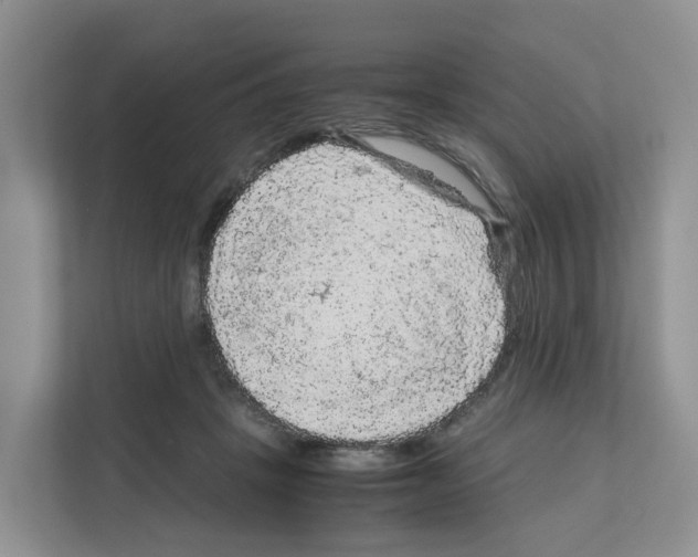 X0000111120457200908111022
