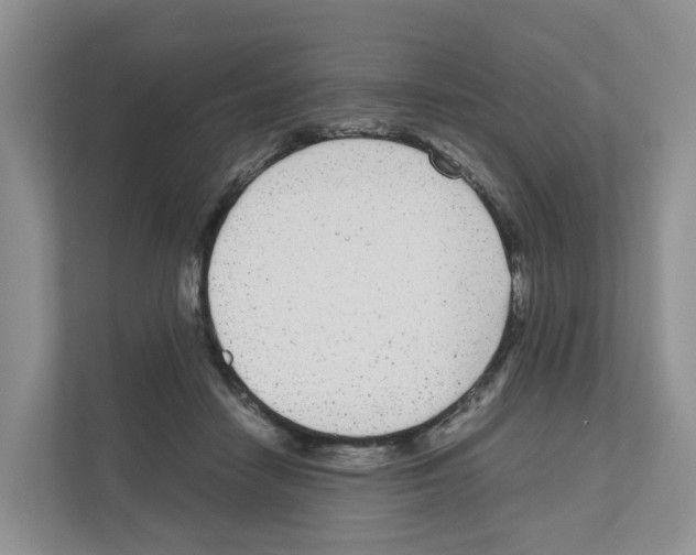 X0000111120458200908111022