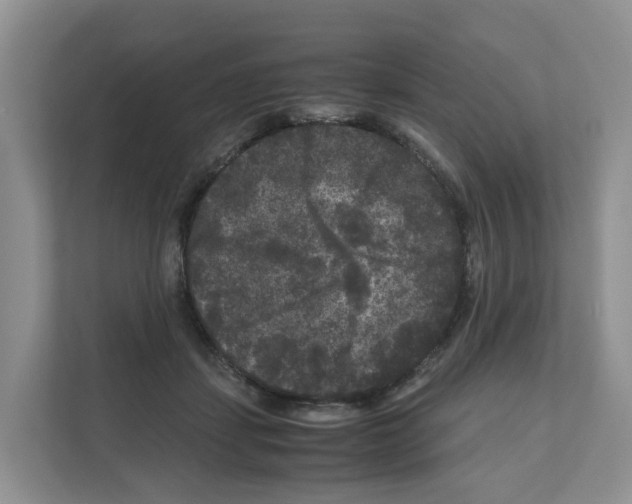 X0000111120459200908111022