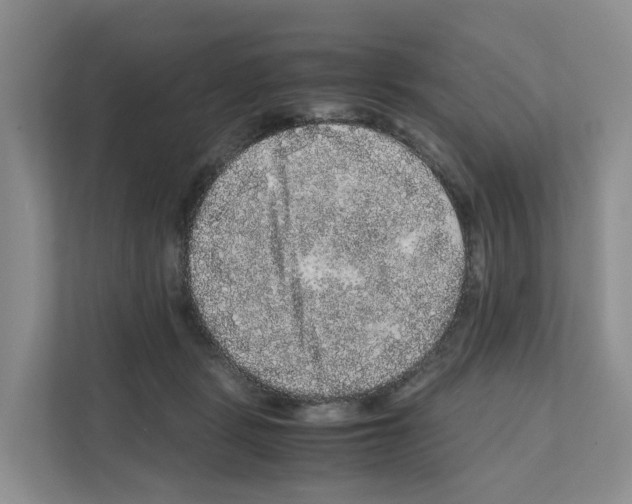 X0000111120461200908111022