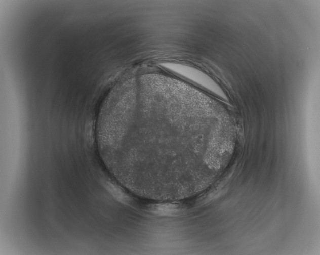 X0000111120462200908111022