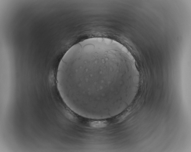 X0000111120465200908111022
