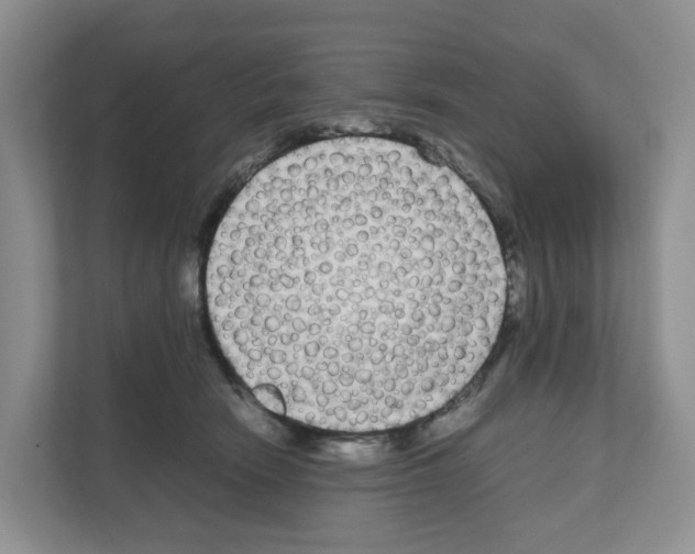 X0000111120466200908111022