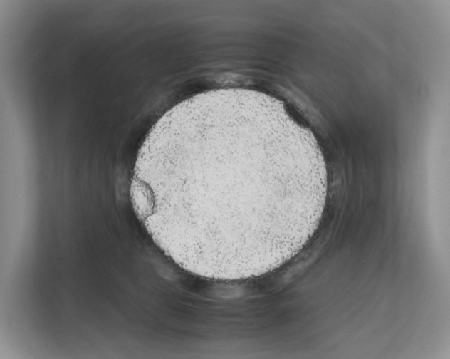 X0000111120469200908111022