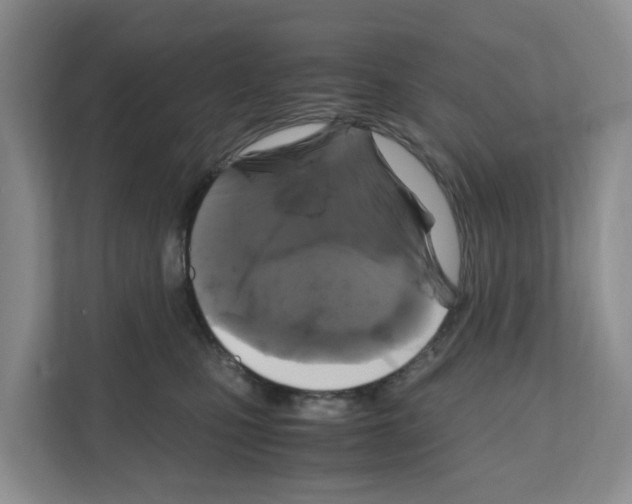 X0000111120471200908111022