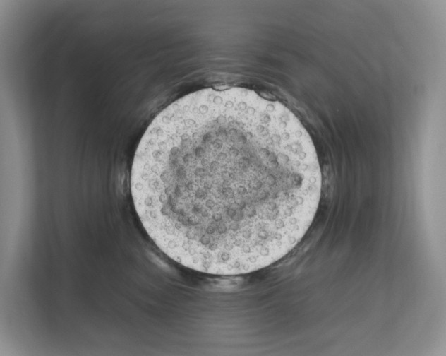 X0000111120474200908111022