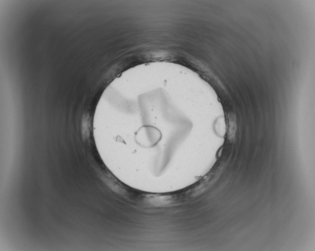 X0000111120476200908111022