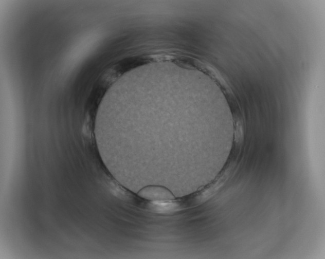 X0000111120477200908111022