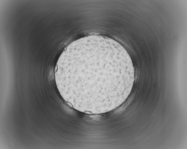 X0000111120478200908111022
