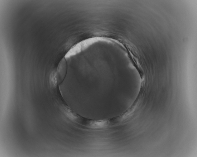 X0000111120479200908111022