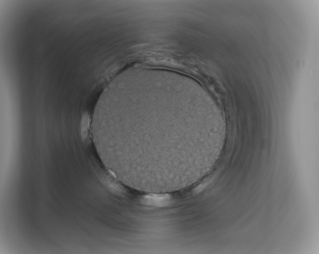 X0000111120480200908111022