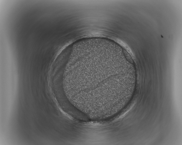 X0000111120481200908111022