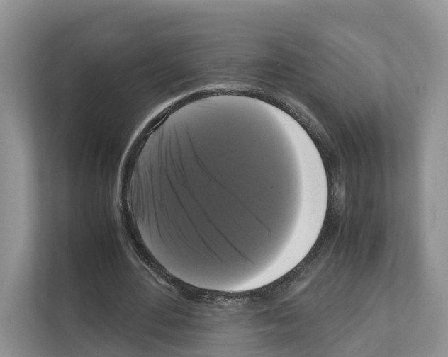 X0000111120484200908111022
