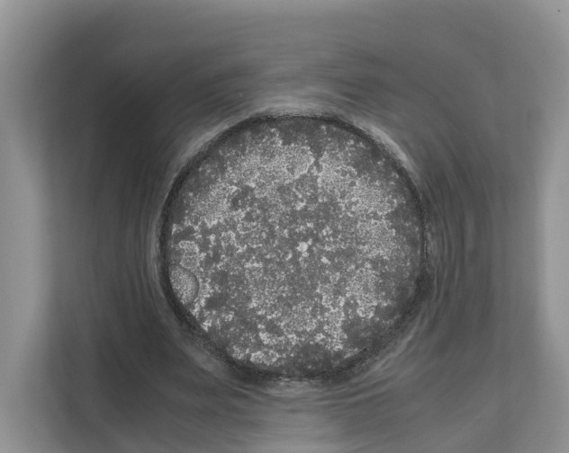 X0000111120487200908111022