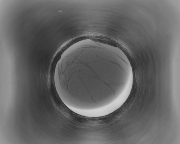 X0000111120488200908111022
