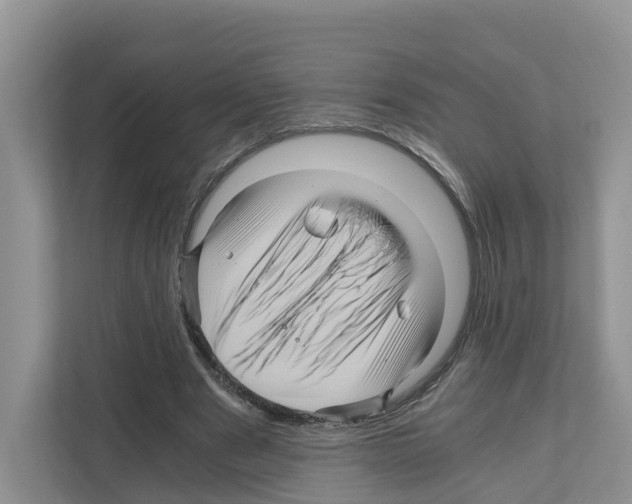 X0000111120489200908111022