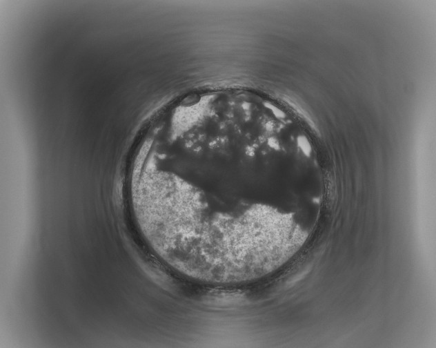 X0000111120491200908111022