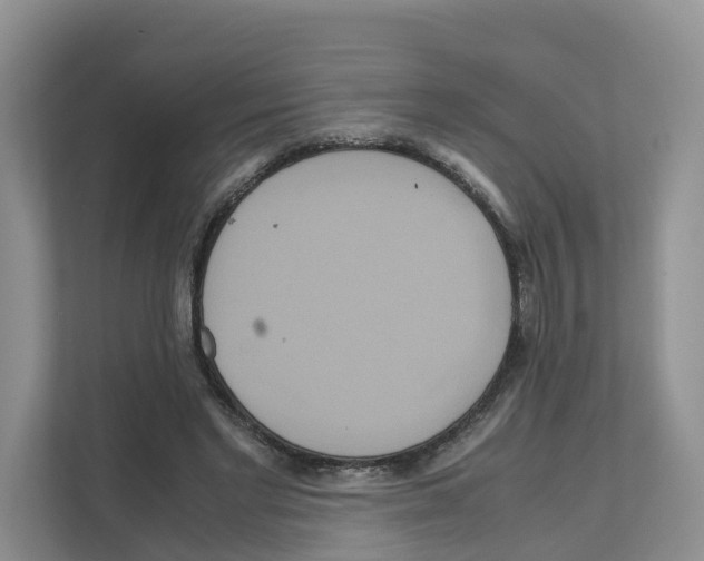 X0000111120493200908111022