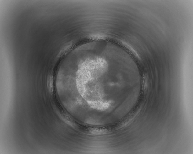 X0000111120494200908111022