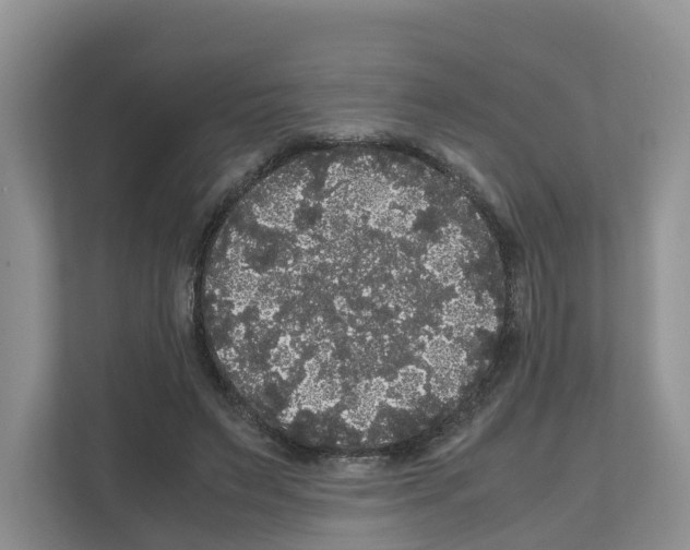 X0000111120495200908111022