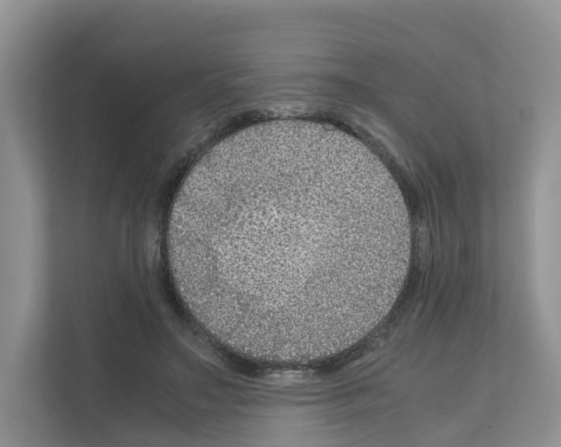 X0000111120499200908111022