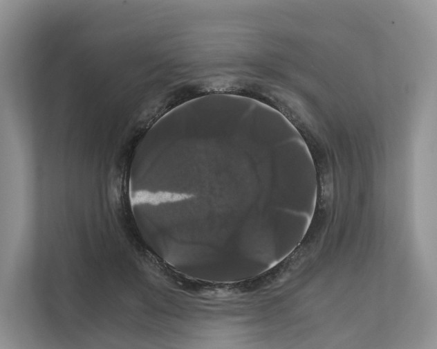 X0000111120503200908111022