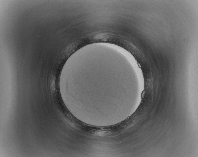 X0000111120504200908111022