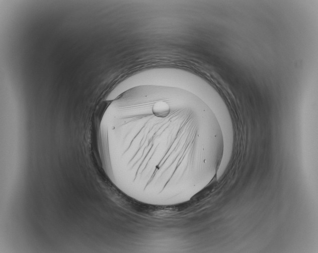 X0000111120505200908111022