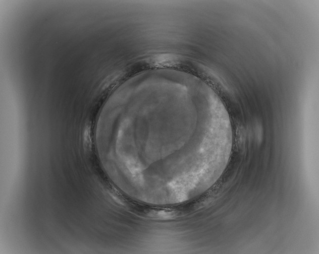 X0000111120506200908111022