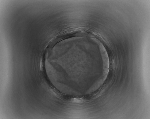 X0000111120508200908111022