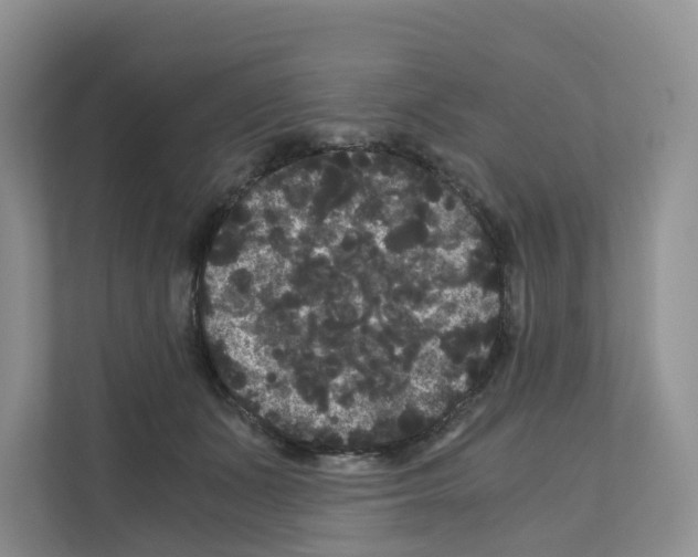 X0000111120511200908111021
