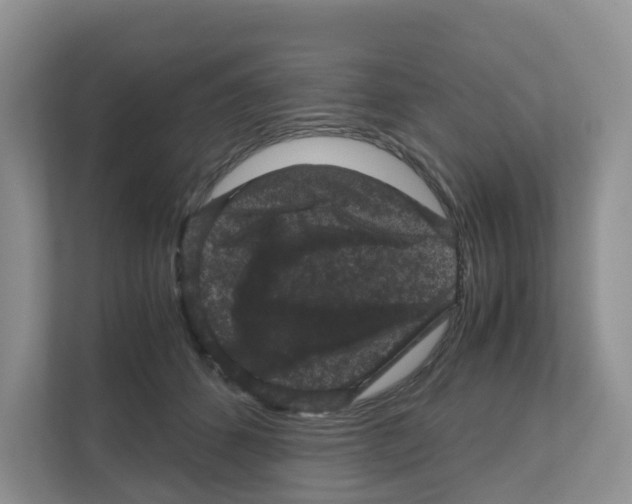 X0000111120512200908111021