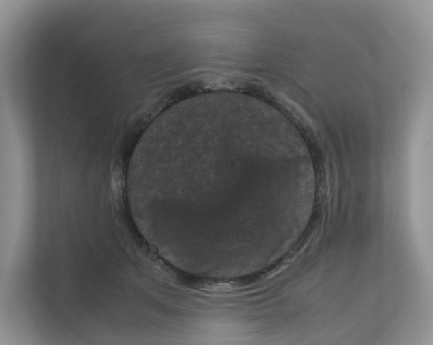 X0000111120513200908111021