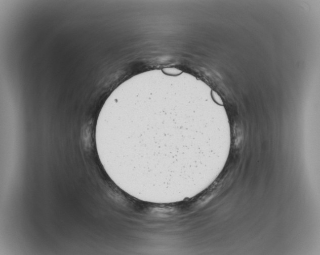 X0000111120515200908111021
