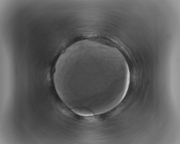 X0000111120516200908111021