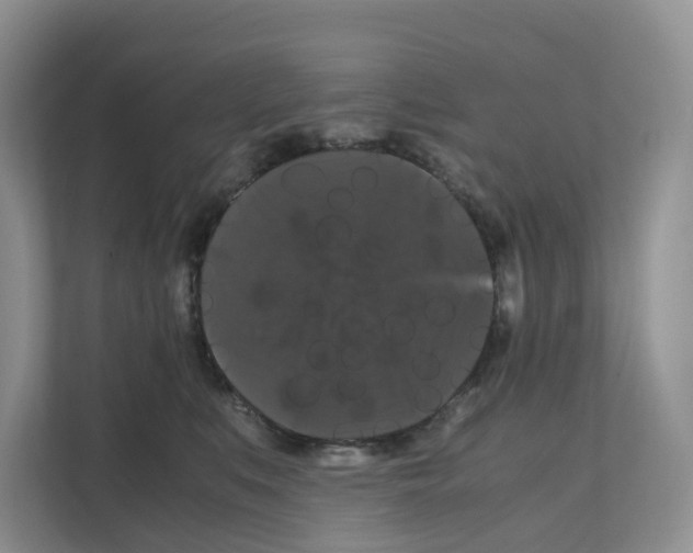 X0000111120519200908111021