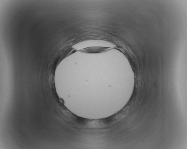 X0000111120521200908111021