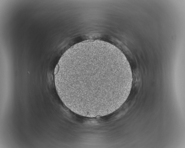 X0000111120523200908111021