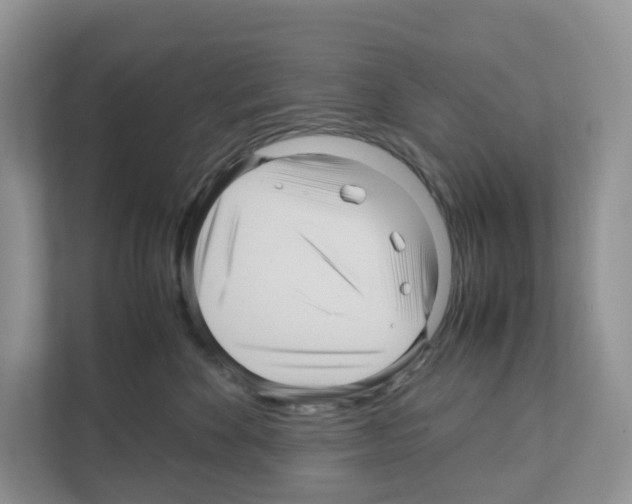 X0000111120524200908111021