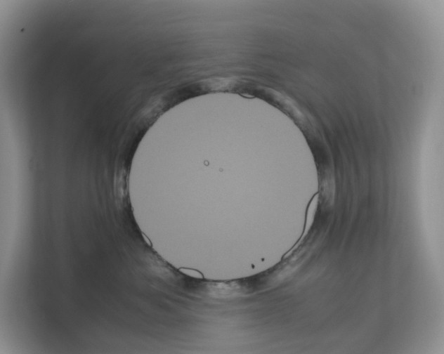 X0000111120525200908111021