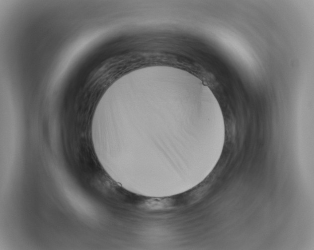 X0000111120526200908111021