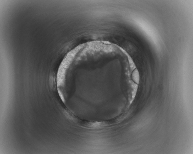 X0000111120527200908111021